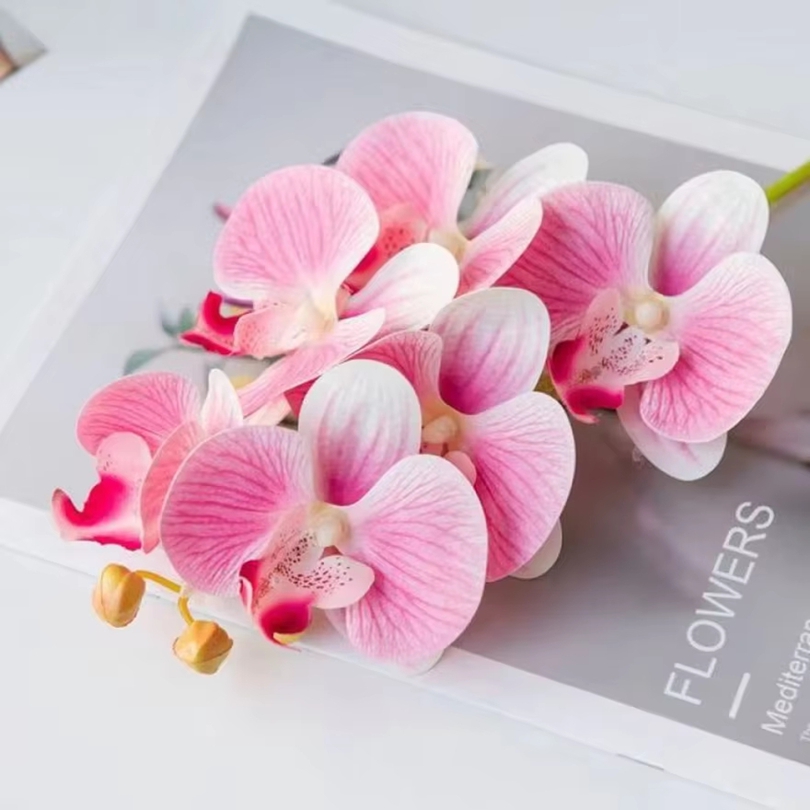 Orchid Phalaenopsis - 3D 造花プラスチック蝶蘭ホーム花瓶テーブル装飾結婚式屋外ガーデン花嫁のブーケ DIY 花輪ギフトボックス