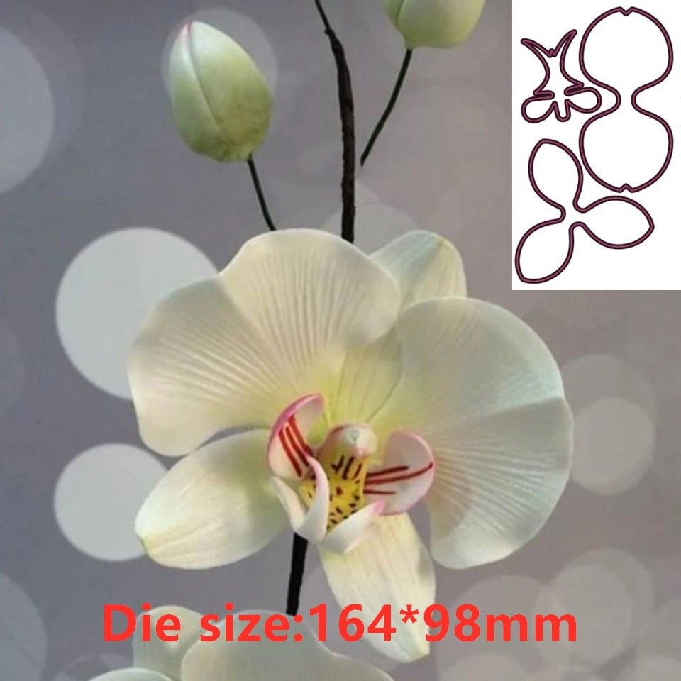 Orchid Phalaenopsis - Orchid-スクラップブッキングスタンプ/写真のための金属切り鉛筆,エンボス加工,装飾的なアルバム