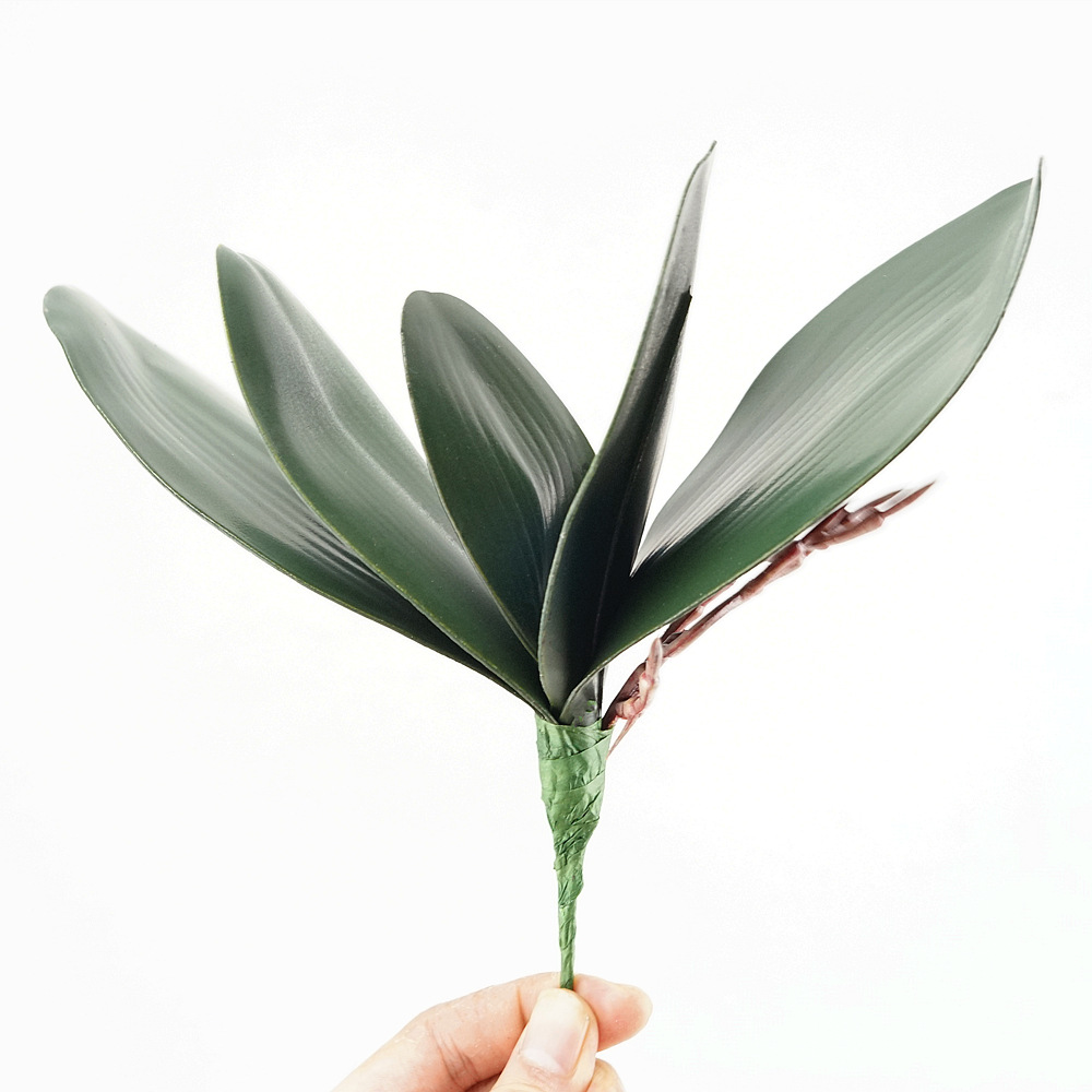 Orchid Phalaenopsis - 3pc Eva シミュレーション胡蝶蘭の葉蘭の花の葉フラワーアレンジメント素材の感触結婚式の家の装飾蘭の葉 G