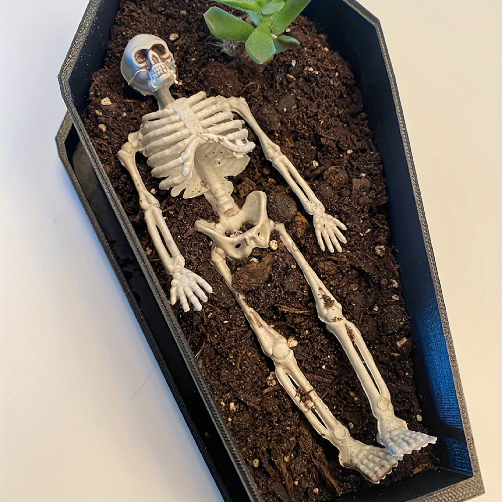 Snake Plant Ceramic - 綿の多肉植物のポット,排水付きの棺プランター,ゴスの装飾,ハロウィーンの装飾