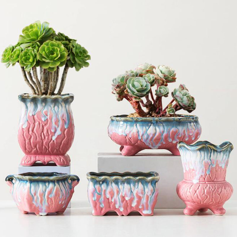 創造的な施釉植木鉢,多肉植物,盆栽ポット,緑の植物,通気性の - Snake Plant Ceramic のレビューと価格