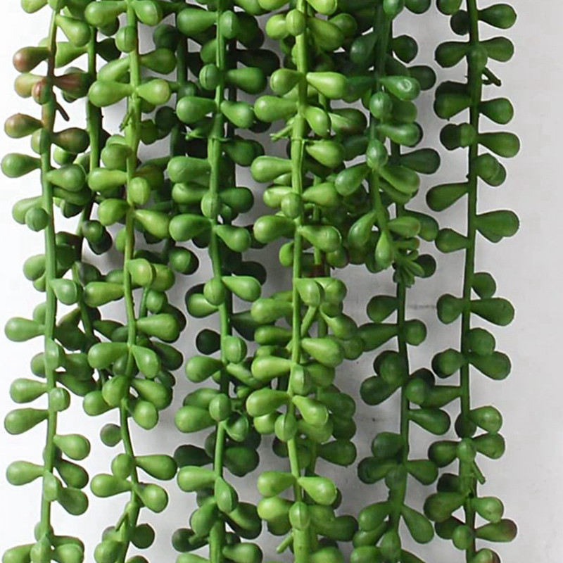 人工プラスチック植物のつる状のシダ、フェスティバル用アクセサ - String Of Pearls Plant のレビューと価格
