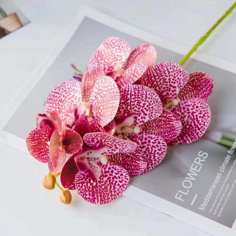 3D 造花プラスチック蝶蘭ホーム花瓶テーブル装飾結婚式屋外ガ - Orchid Phalaenopsis のレビューと価格