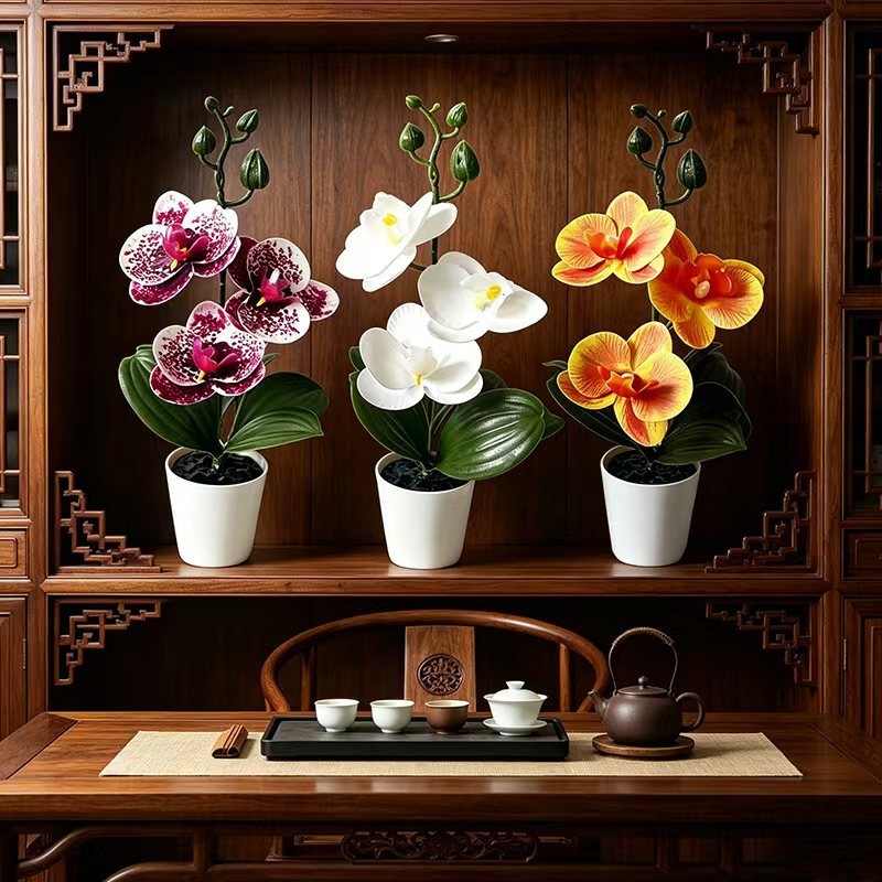 ミニ胡蝶蘭の鉢植え、3輪の花、黒い蓋付き鉢、緑の植物装飾、寝 - Orchid Phalaenopsis のレビューと価格