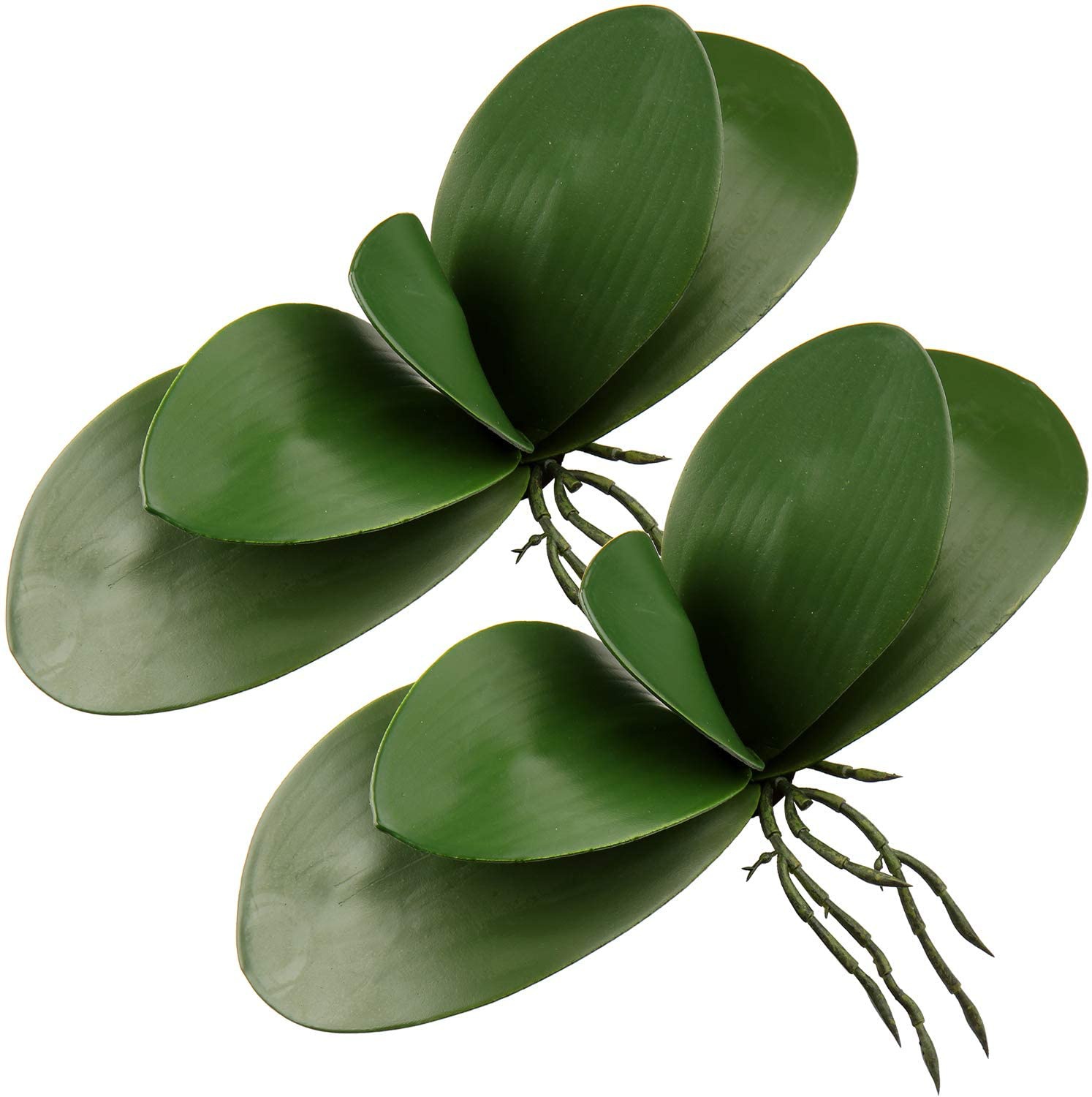 本物のラテックスタッチ,植物の配置,偽の蘭,緑色のラテックス - Orchid Phalaenopsis のレビューと価格