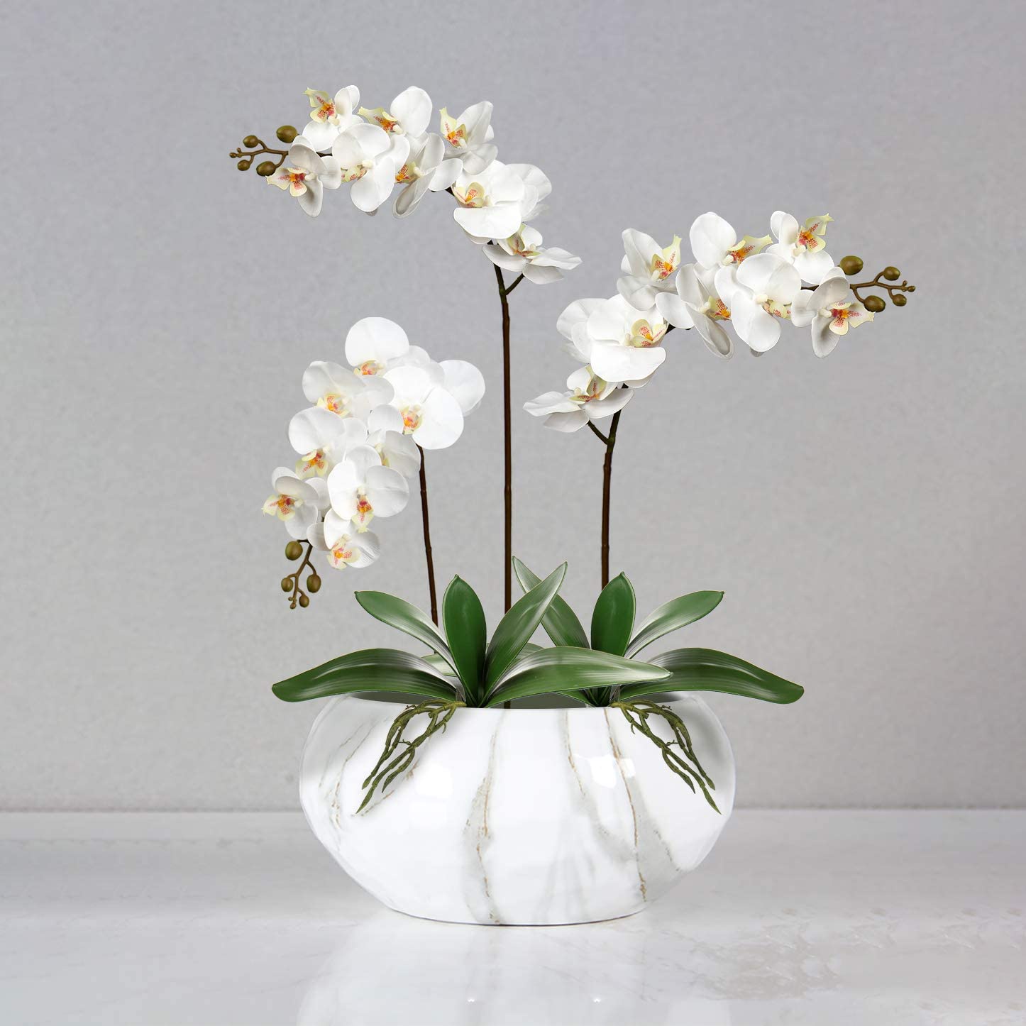 本物のラテックスタッチ,植物の配置,偽の蘭,緑色のラテックス - Orchid Phalaenopsis のレビューと価格