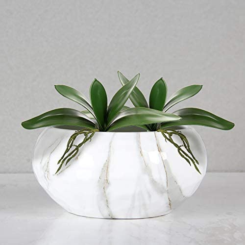 本物のラテックスタッチ,植物の配置,偽の蘭,緑色のラテックス - Orchid Phalaenopsis のレビューと価格