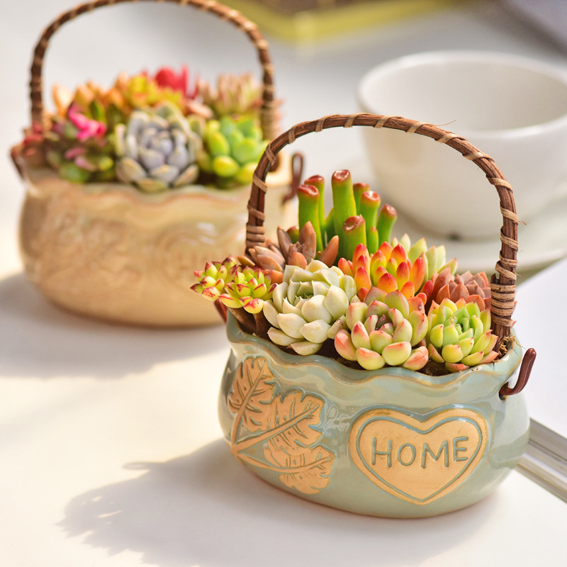 北欧スタイルのセラミック製多肉植物鉢、通気性のあるラタンハン - Snake Plant Ceramic のレビューと価格