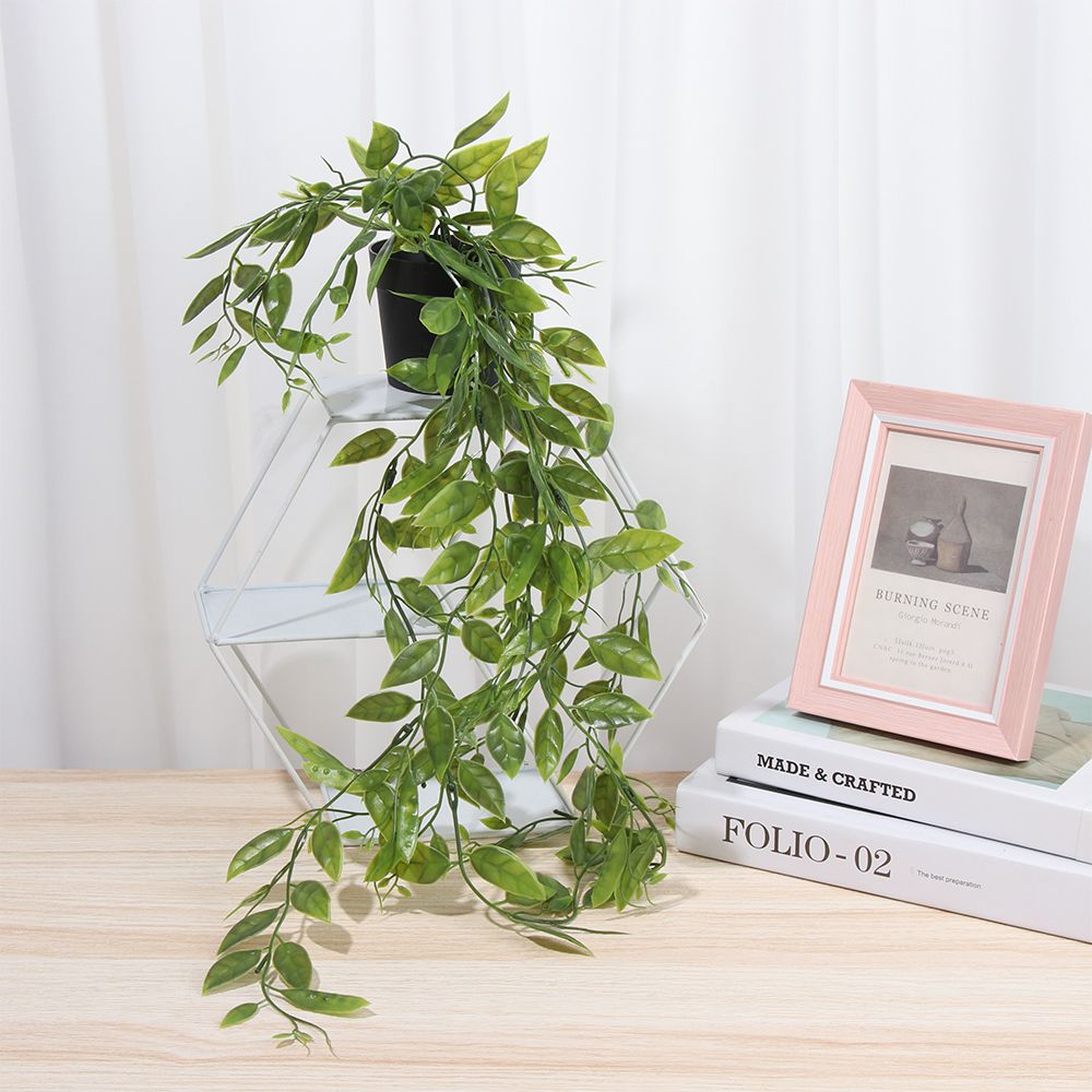 人工吊り下げ植物 ポット付き フェイクプラント 吊り下げつる - String Of Pearls Plant のレビューと価格