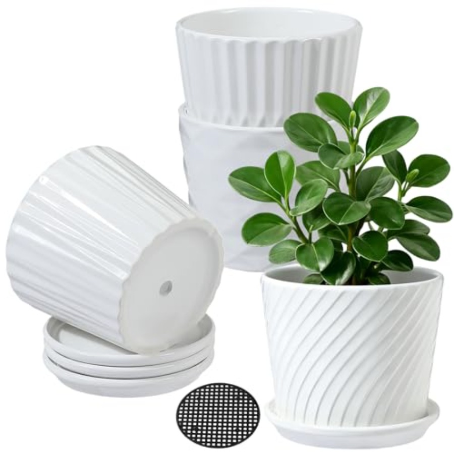 植木鉢 - 接続された受け皿付き円筒形セラミックプランター、 - Snake Plant Ceramic のレビューと価格