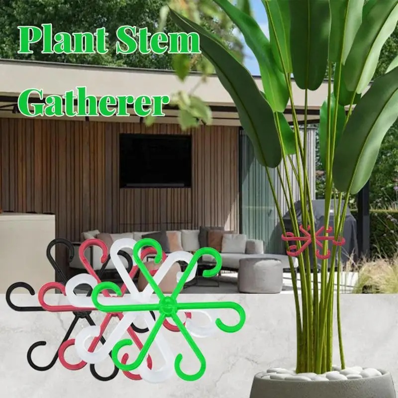 4個入りクライミングプラントサポートクリップ、花茎固定ラック - Variegated Monstera Node のレビューと価格