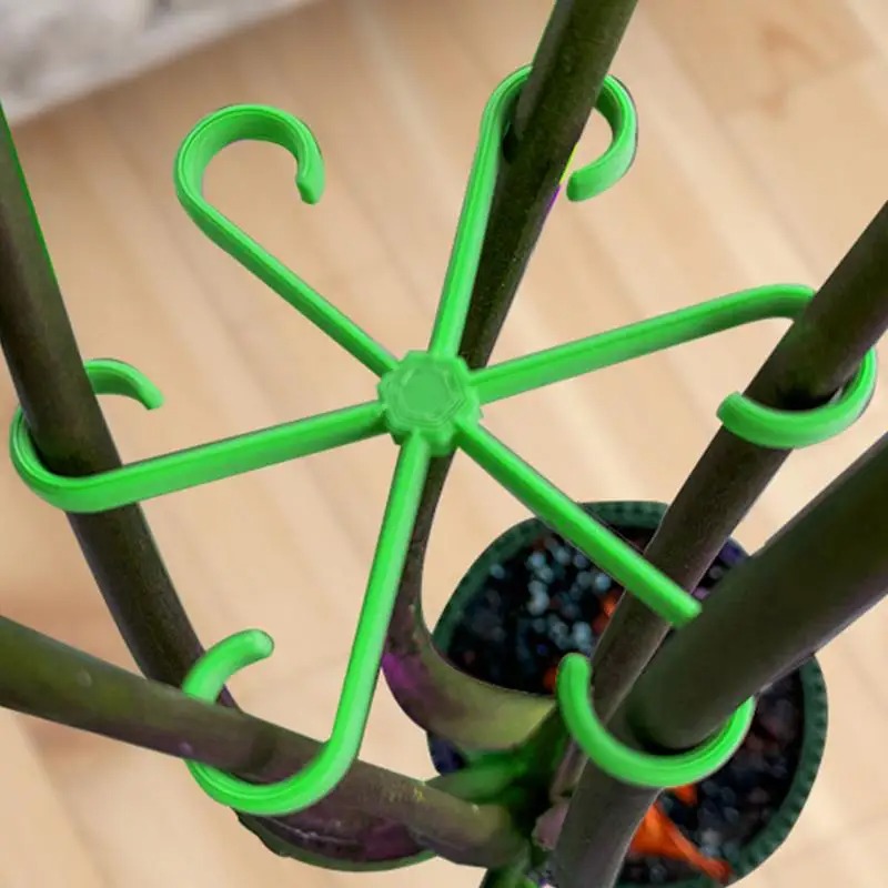 4個入りクライミングプラントサポートクリップ、花茎固定ラック - Variegated Monstera Node のレビューと価格