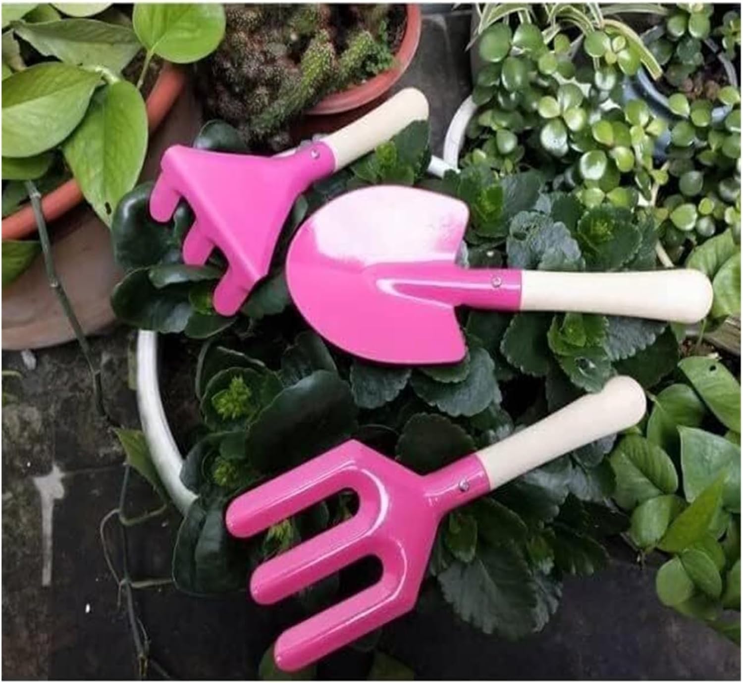 ミニガーデンツールセット、3点セット、頑丈な多肉植物キット、 - Plant Parent Gift Set のレビューと価格