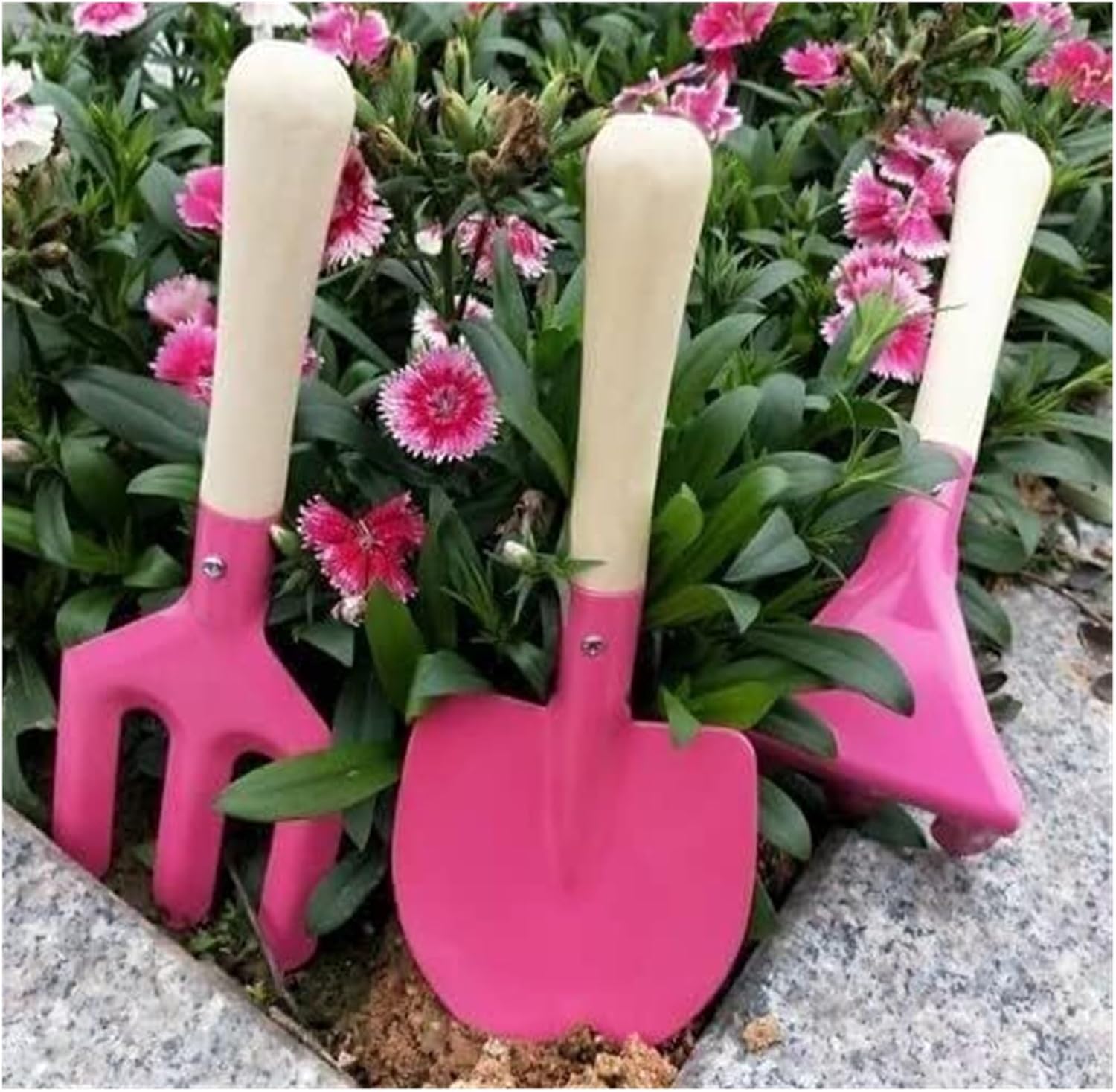 ミニガーデンツールセット、3点セット、頑丈な多肉植物キット、 - Plant Parent Gift Set のレビューと価格