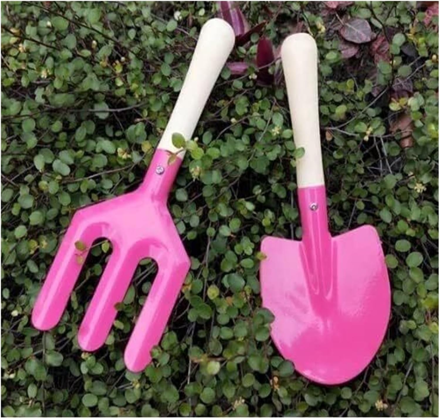 ミニガーデンツールセット、3点セット、頑丈な多肉植物キット、 - Plant Parent Gift Set のレビューと価格