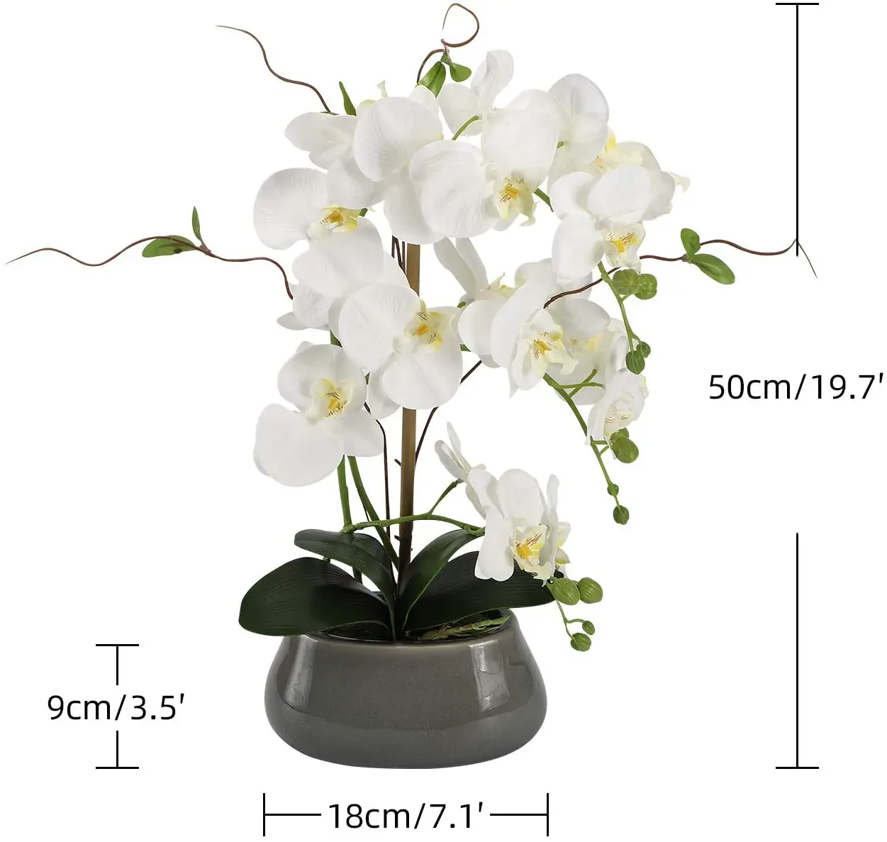 ダイニングルーム用人工蘭フラワーセンター、花瓶付きテーブル、 - Orchid Phalaenopsis のレビューと価格