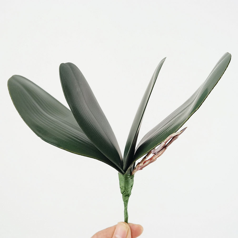 3pc Eva シミュレーション胡蝶蘭の葉蘭の花の葉フラワー - Orchid Phalaenopsis のレビューと価格