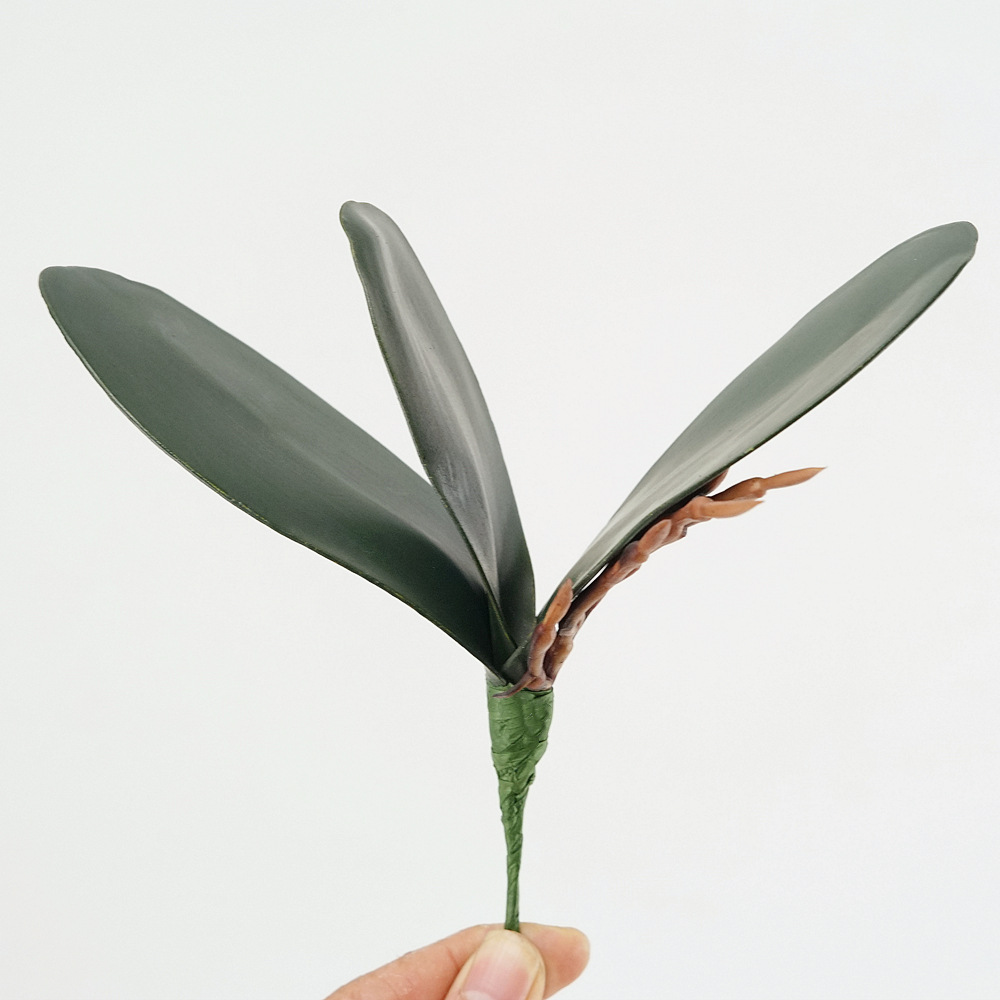 3pc Eva シミュレーション胡蝶蘭の葉蘭の花の葉フラワー - Orchid Phalaenopsis のレビューと価格
