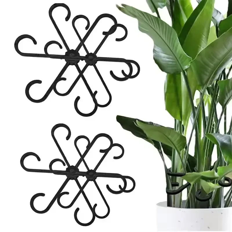 ステムサポート アロカシア モンステラ リーフサポート 4個 - Variegated Monstera Node のレビューと価格