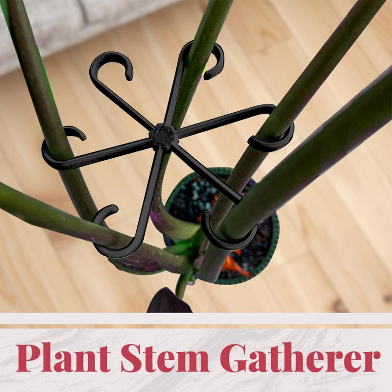 4 個つる植物サポートクリップ花茎コレクション固定ラッククラ - Variegated Monstera Node のレビューと価格