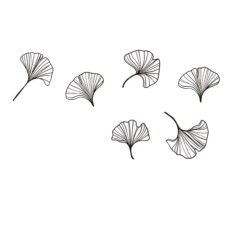 Ginkgoの葉のウォールステッカー、リビングルーム、日本の - Monstera Thai Constellation のレビューと価格