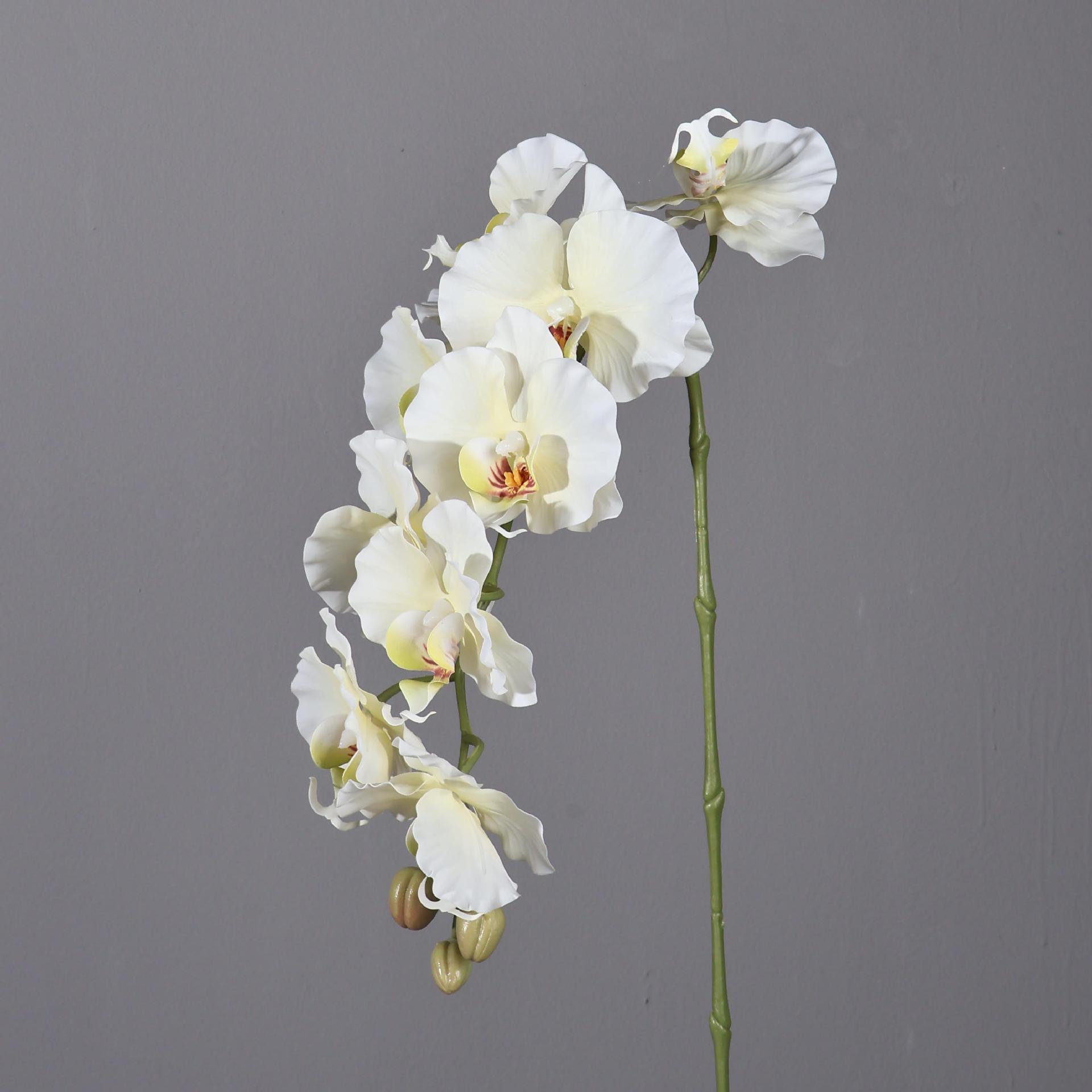 38.6インチ 9頭 韓国風 人工胡蝶蘭 ホーム ホテル バ - Orchid Phalaenopsis のレビューと価格