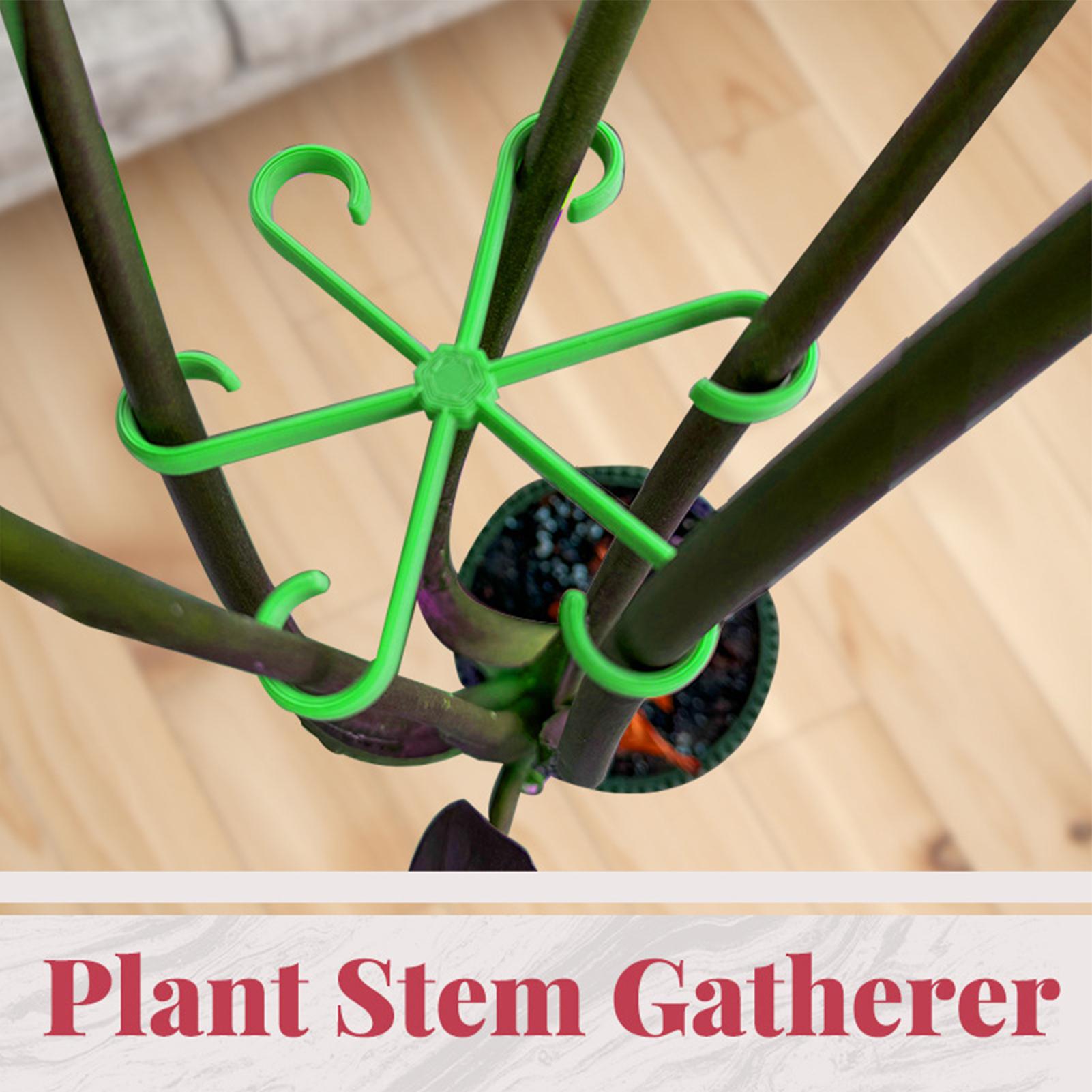 4 個の植物茎サポートクリップ、つる性植物、花茎コレクション - Variegated Monstera Node のレビューと価格