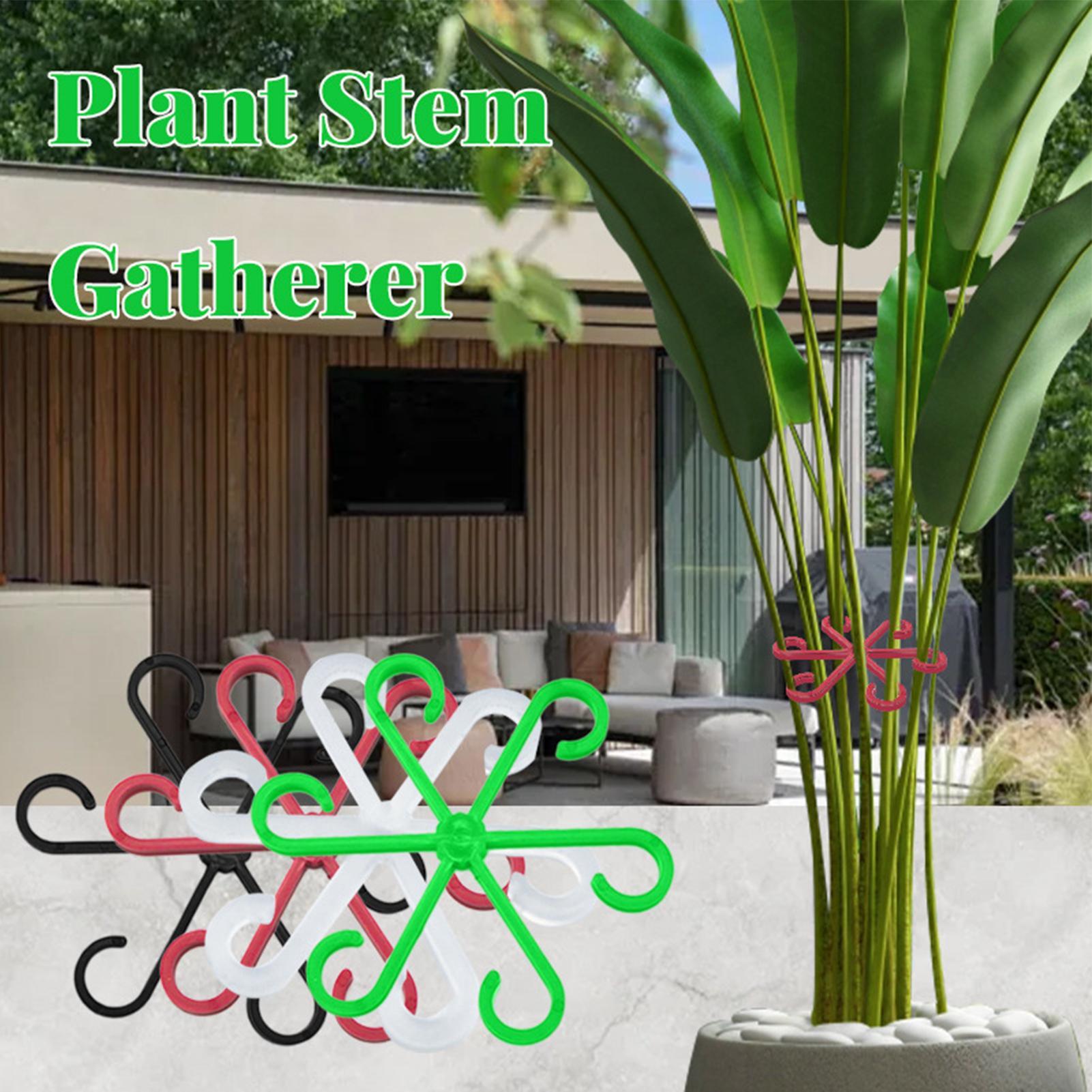 4 個の植物茎サポートクリップ、つる性植物、花茎コレクション - Variegated Monstera Node のレビューと価格
